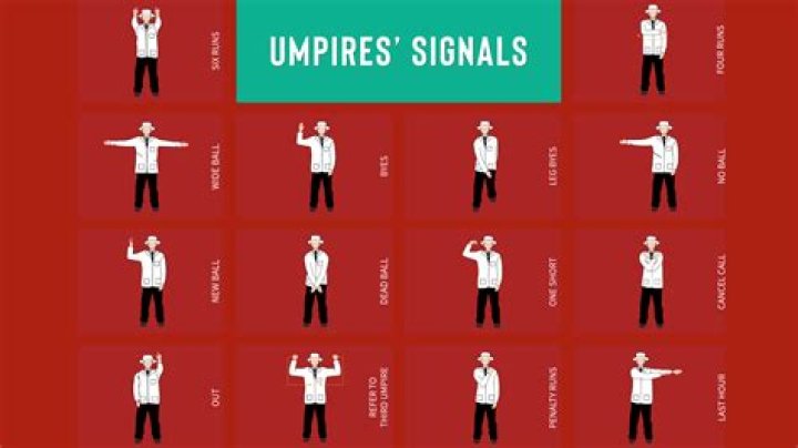 Why do umpires use hand signals?
