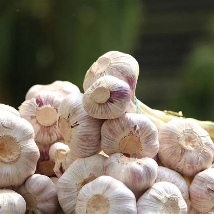 Why do we import garlic from China?