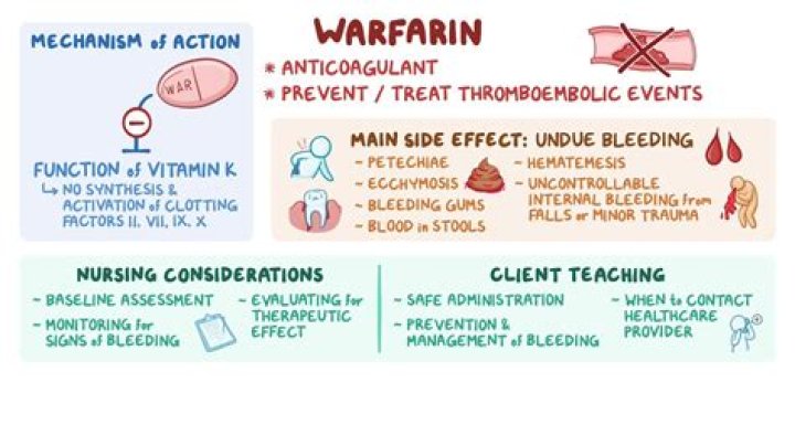 Why do you take warfarin at 6pm?