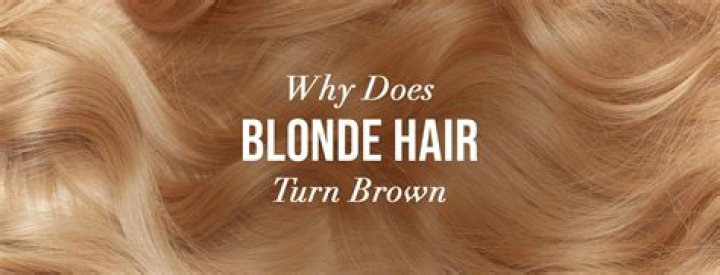 Why does blonde hair go brown?