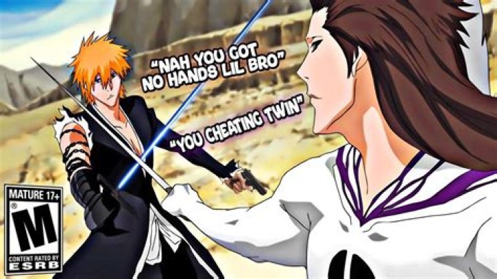 Why does Ichigo say goodbye to Rukia?