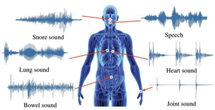 Why does it sound like someone is in my attic?