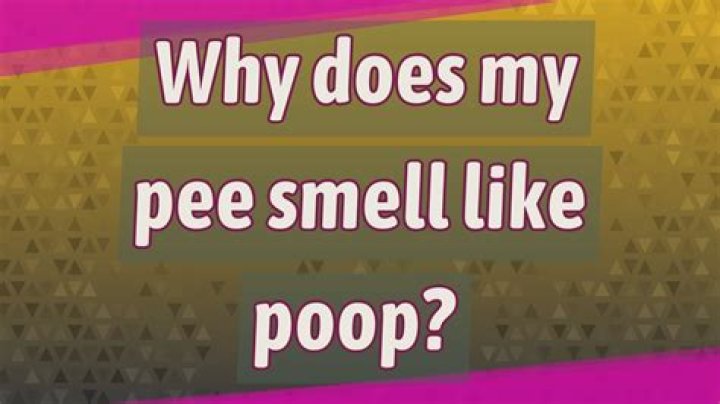 Why does my bathroom always smell like poop?