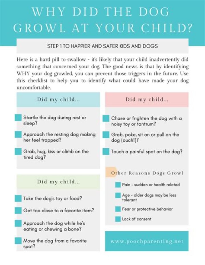 Why does my dog growl at my youngest child?