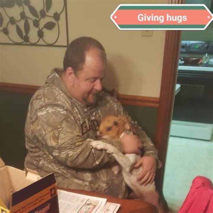 Why does my dog jump on me when my husband hugs me?