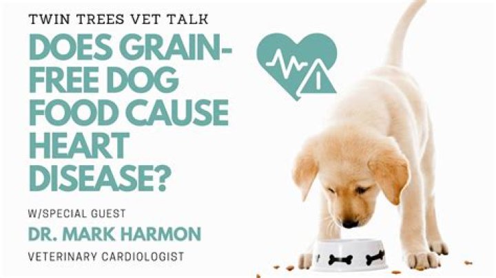 Why does my dog look drunk?