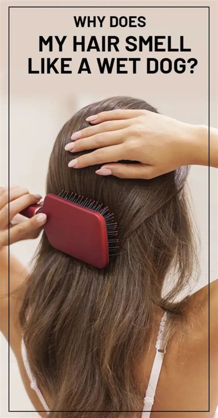 Why does my hair smell like BO?