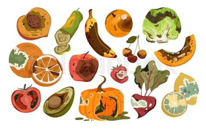 Why does my house smell like rotten vegetables?