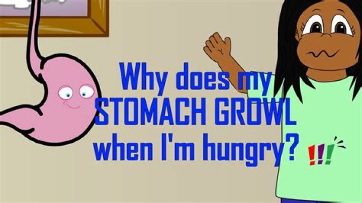 Why does my stomach growl so much at school?