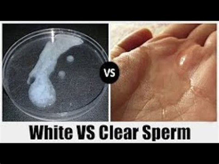 Why does sperm go from white to clear?