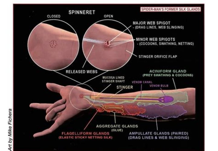 Why does Tobey not use web shooters?