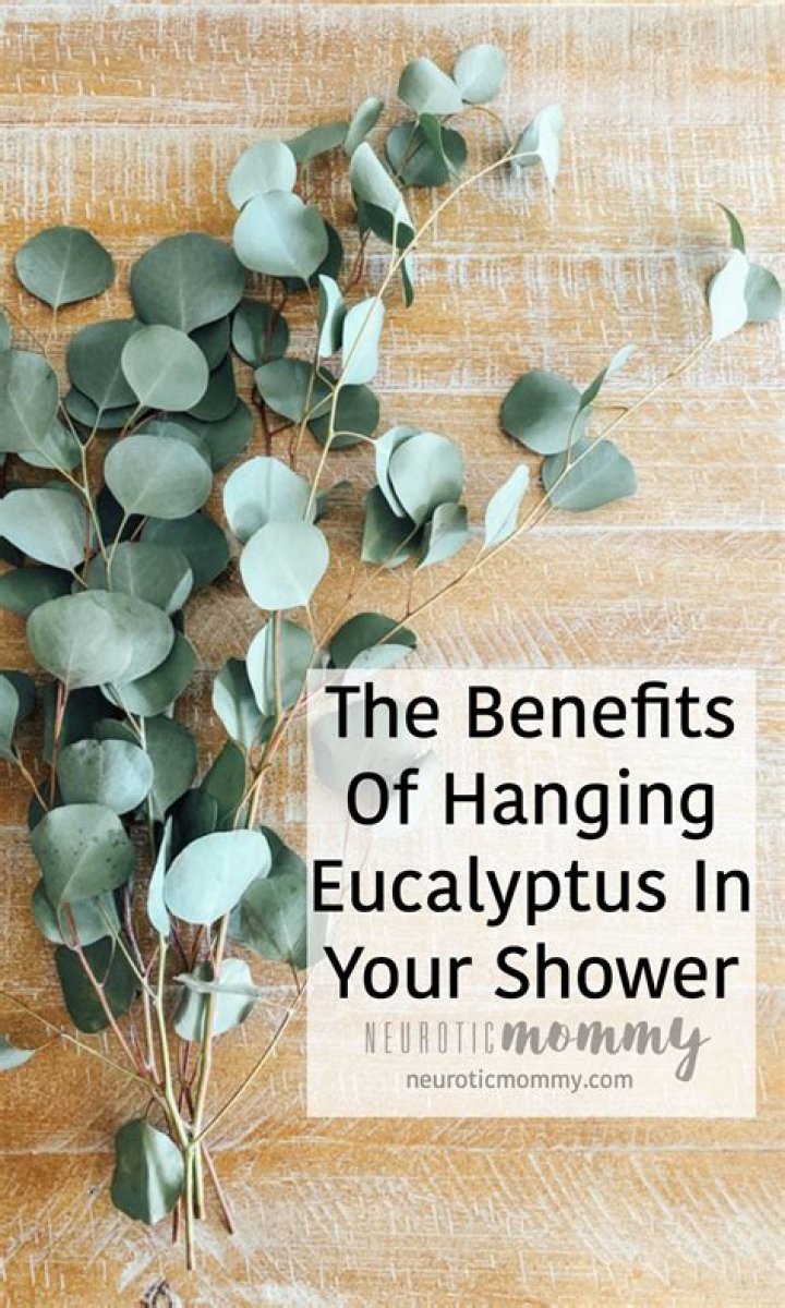 Why doesn't my eucalyptus plant smell in the shower?