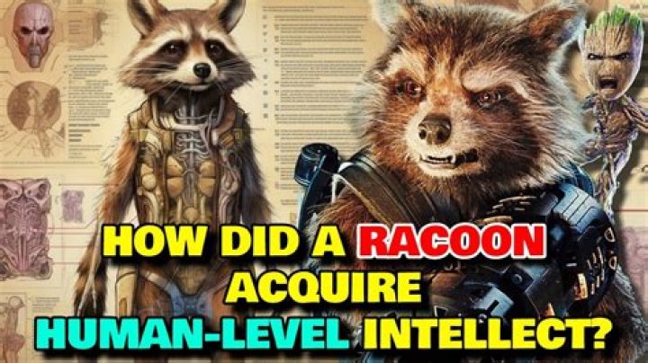 Why doesn't Rocket know he's a raccoon?