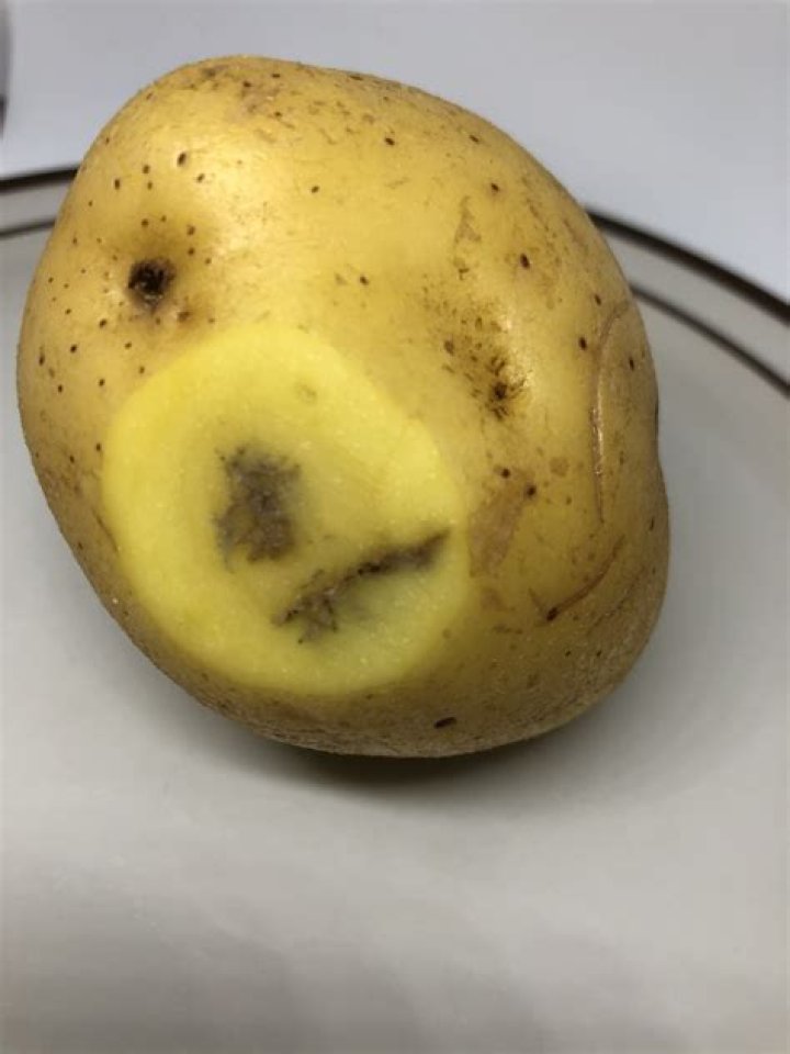 Why has my white silicone gone yellow?