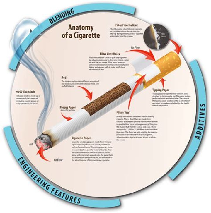 Why is a cigarette after a meal so good?