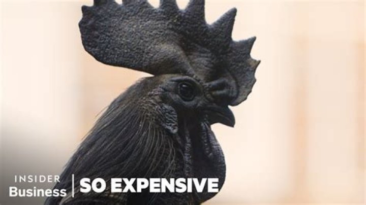 Why is black chicken expensive?
