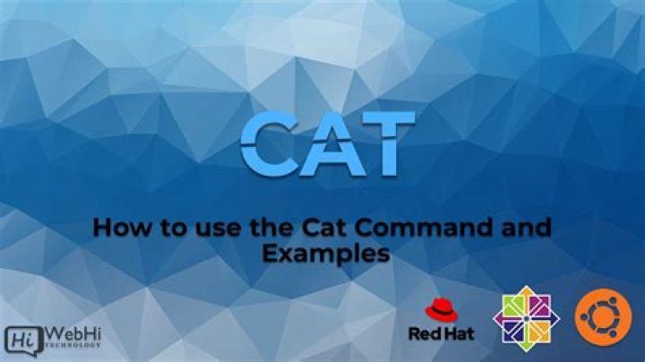 Why is cat command used?
