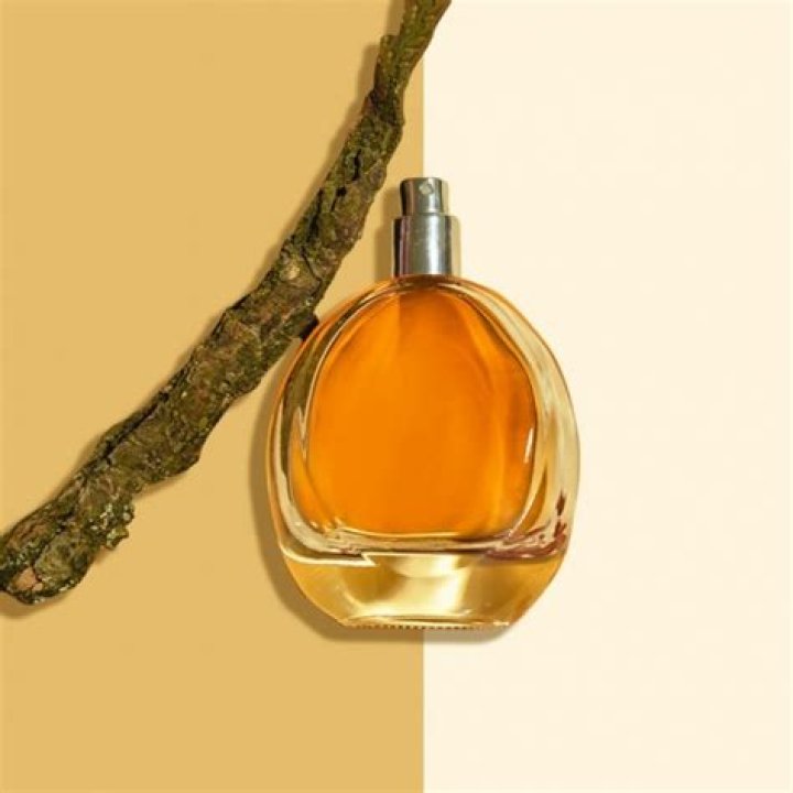 Why is civet not used in perfume?