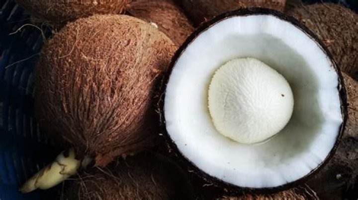 Why is coconut called coconut?