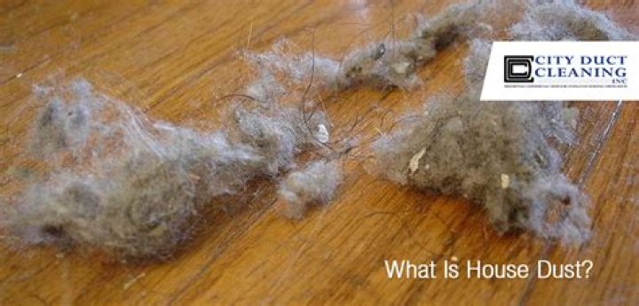 Why is house dust black?
