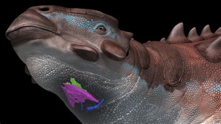 Why is it called a toilet?