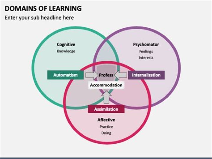 Why is it important to assess the 3 domains of learning?