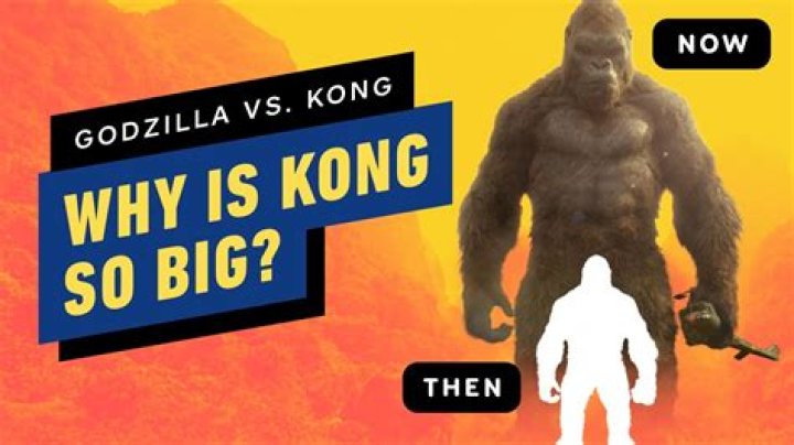 Why is Kong so big?