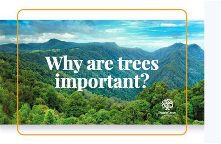 Why is marking trees important?