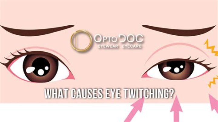 Why is my puppy eye twitching?