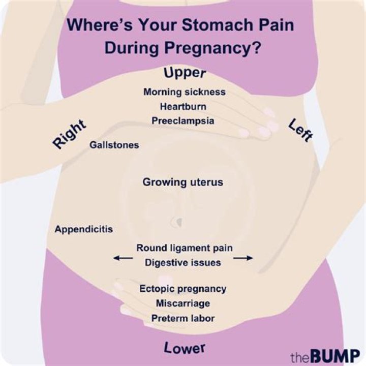 Why is my stomach hard at the top early pregnancy?