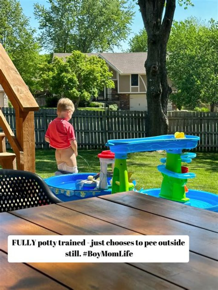 Why is my toddler afraid to pee in the potty?