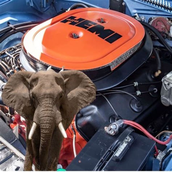 Why is the 426 Hemi called an elephant?