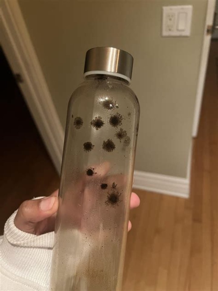 Why is there black mold in my water bottle?