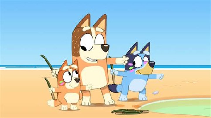 Why is there no episode 48 of Bluey?