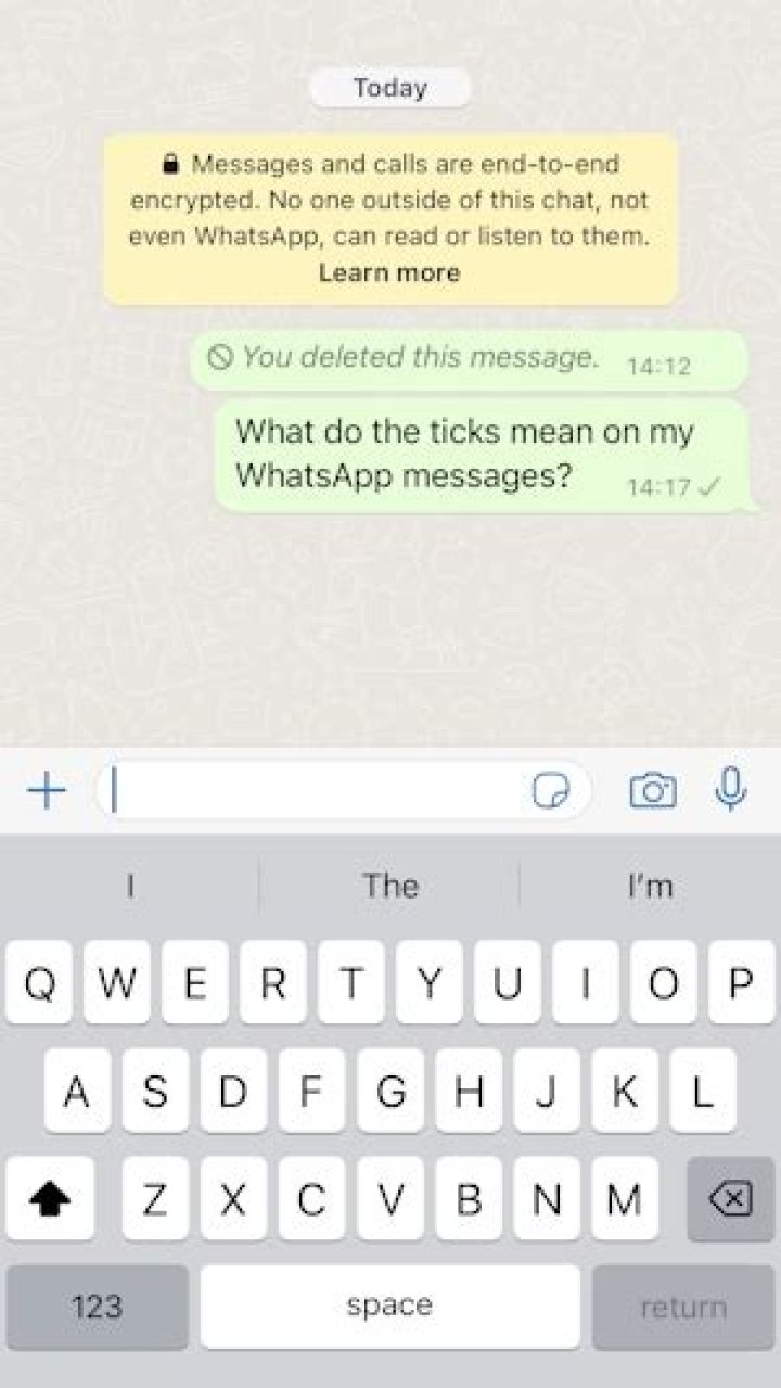 Why is there only one grey tick on WhatsApp?