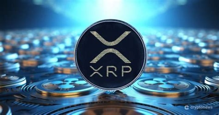 Why is XRP popular?