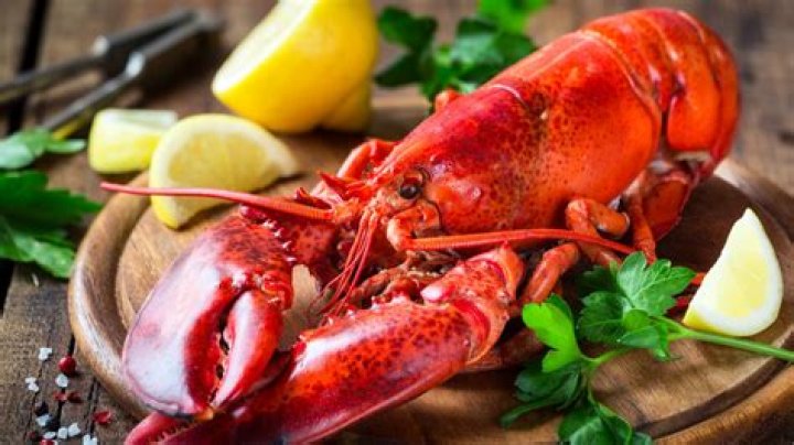 Why should you not freeze live lobster?