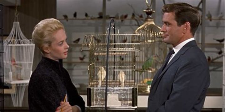 Why was the main character named Mitch in The Birds?