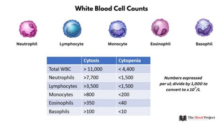 Why would lymphocyte count be low?
