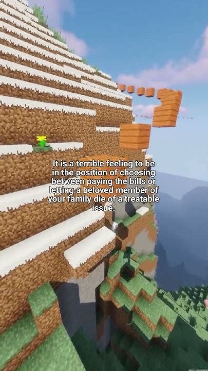 Why you shouldn't own a pet?