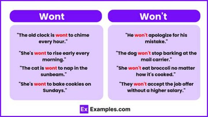 Will and won't meaning?