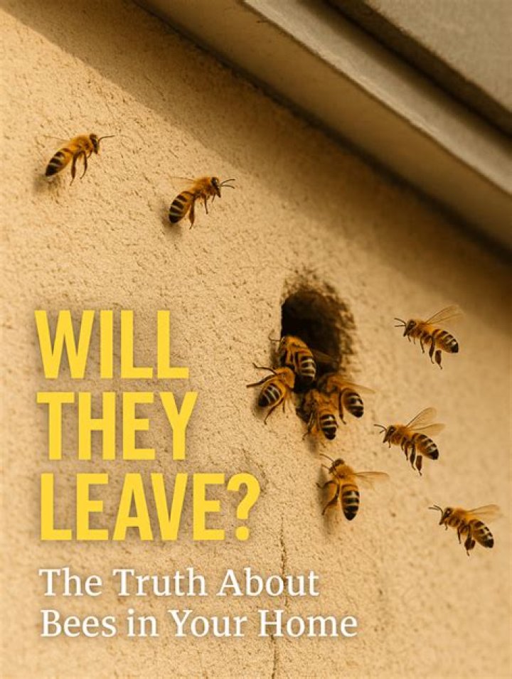 Will bees leave on their own?