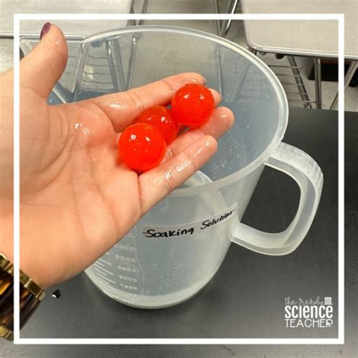 Will bleach dissolve Orbeez?