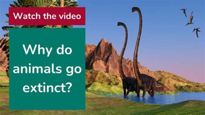 Will left-handers go extinct?