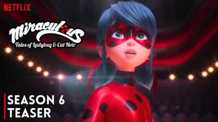 Will Miraculous Ladybug have a season 9?