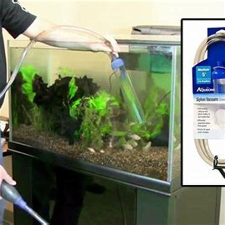 Will poop break down in water?