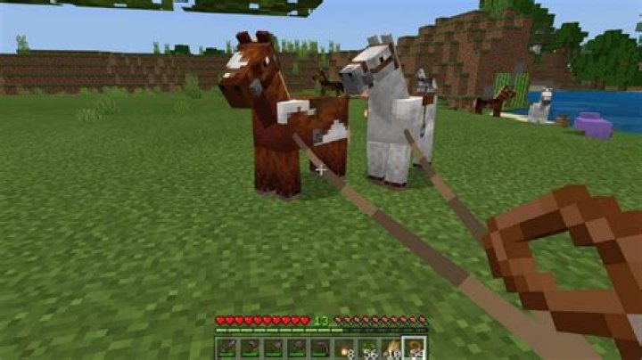 Will tamed horse Despawn?