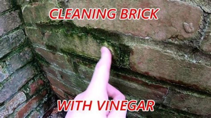 Will vinegar damage bricks?