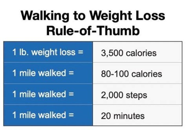 Will walking 1 hour a day help lose weight?