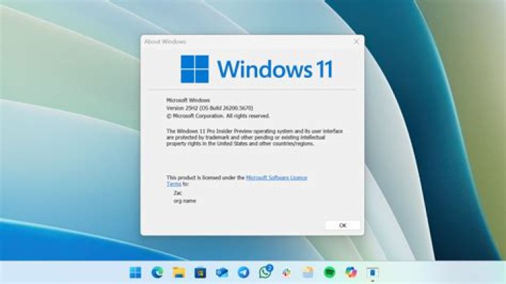 Will Windows 11 have a pro version?